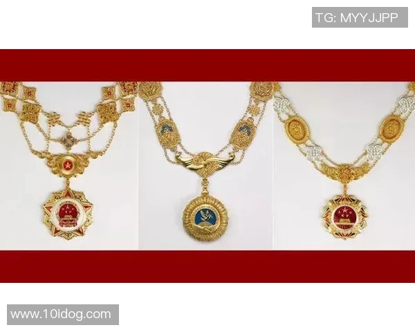 足球球星获勋章的意义与价值解析对个人与社会的双重影响