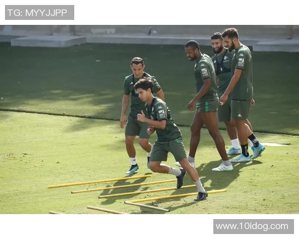 昔日球场英雄化身老者重返赛场展现风采的感人故事 昔日球场英雄化身老者重返赛场展现风采的感人故事