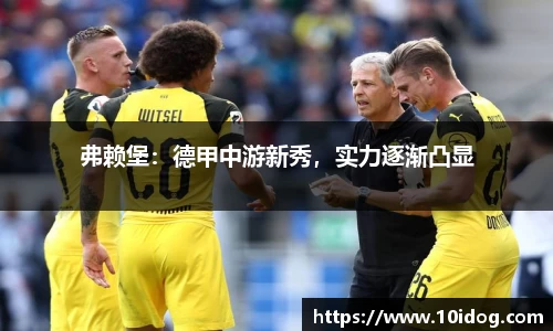 弗赖堡：德甲中游新秀，实力逐渐凸显